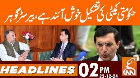 Formation of Govt Committee is Welcome - Barrister Gohar | News Headlines | 02 PM | 22 Dec 24 | GNN