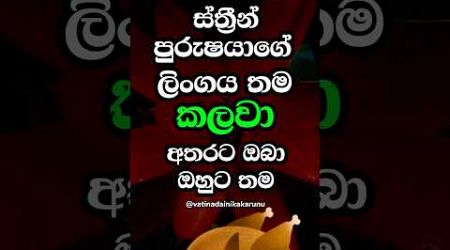 මේ අත්දැකීම තියෙන්නෙ එසේ මෙසේ අයට නෙවෙයි 