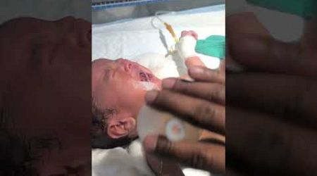 Newborn baby being chestryp