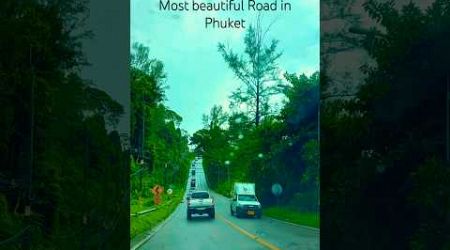 Most beautiful roads in Phuket #travelvlog #thailand #traveling