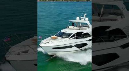 EPIC PHOTOBOMB! Dolphin Crashes Our Video on New Sunseeker Yacht!