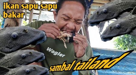 IKAN SAPU SAPU BAKAR SAMBAL THAILAND