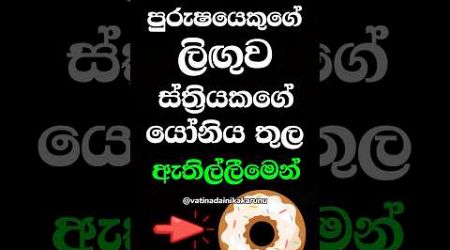 හම්බෝ දන්නවද වෙනදේ 