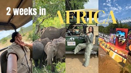 SOUTH AFRICA TRAVEL VLOG: 2 WEEKS IN MOTHER LAND, SAFARI, VILLAGE TOUR, WINERY, EXPLORING AFRICA