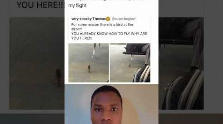 Mind your business i paid for my own flight #meme #memes