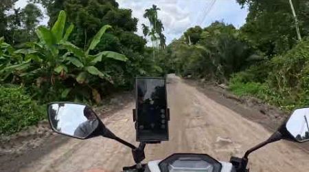 Elephant crossed the road in front of me in thai jungle.