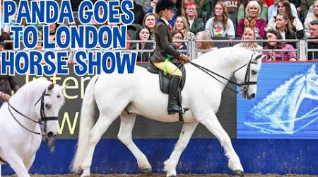 PANDA GOES TO LONDON INTERNATIONAL HORSE SHOW!