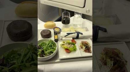 Everything I Ate Business Class Flight JFK to Paris