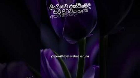 එතකොට තමයි මරු 