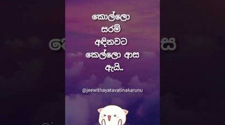 ඇයි දන්නවද එච්චරටම ආස