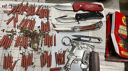 TSA officer 'shocked' to find multiple prohibited items in a woman's bag at LAX, including fireworks, knives, and replica firearms