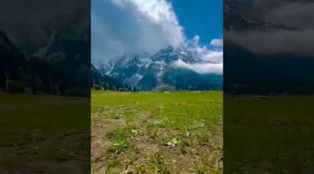 Beautiful Kashmir Vibe #travel #travelideas #mountains #nature #kashmir #ytshorts