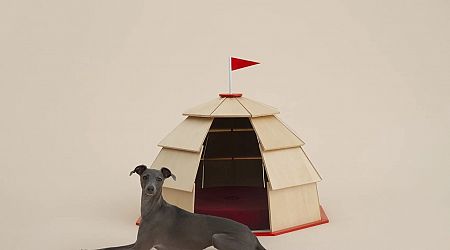 Architecture for Dogs exhibit showcases creative habitat designs for fur babies