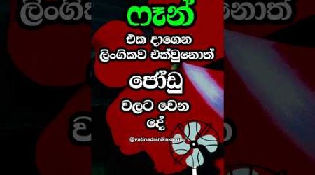 ෆෑන් එක දාගෙන කරොත් වෙනදේ