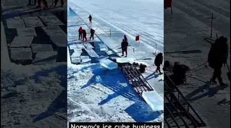 Norway&#39;s ice cube business | நார்வேயின் ஐஸ் கியூப் வணிகம் 