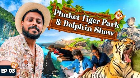 Tiger Park vs Dolphin Bay – Where Should You Go in Phuket? 