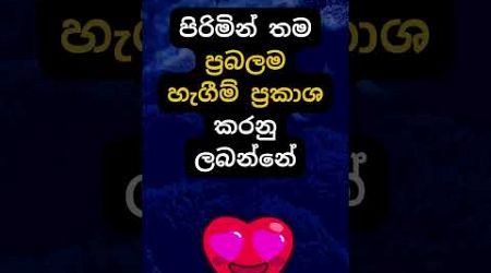 හම්බෝ ඒ දේනම් ඇත්තක් ❤