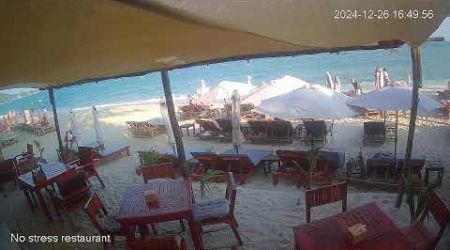 No Stress Restaurant | Lamai | Koh Samui | Thailand | Livecam on the beach