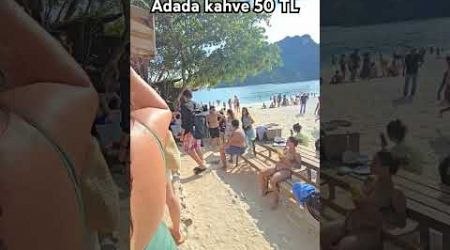 Phi phi ucuz tatil yurtdışı #tayland #phuket #bangkok fun breakfast prank shorts cute cat beach art