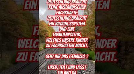 Deutschlands Fachkräfte #deutschland #germany #politik #politics