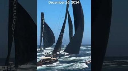 Sydney to Hobart race - Comanche vs Law Connect. Dec 26, 2024 #australianracing #sydneytohobart