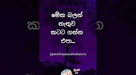 මේක බලන් නැතුව ගන්න එපා 