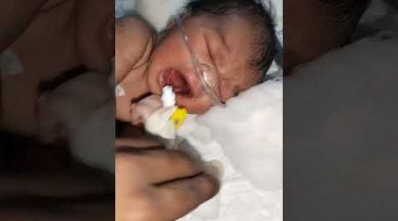 Newborn baby fed milk putting 