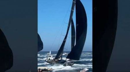 Comanche in CRAZY Sydney to Hobart race leading out of Sydney harbor, Dec 26, 2024