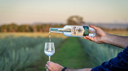 An International Award-Winning Australian Agave Spirit, Act of Treason