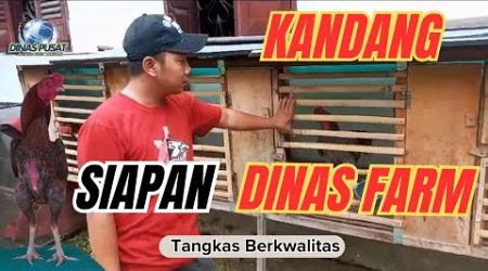 KANDANG AYAM BANGKOK RAWATAN..!!! Dinas Pusat