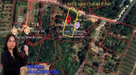 Freehold Land Plot in Ban Tai, Koh Samui. Walkable to Waterfall. 1,847.2 sqm for 4.9 MB.