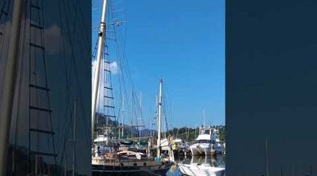 Let&#39;s go boating.#sailing #sailingboat #boats #kauaihawaii #shortvideo