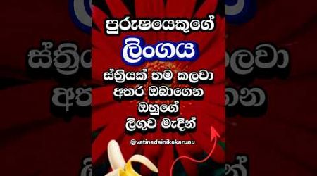 හම්බෝ ඒකනම් මරු