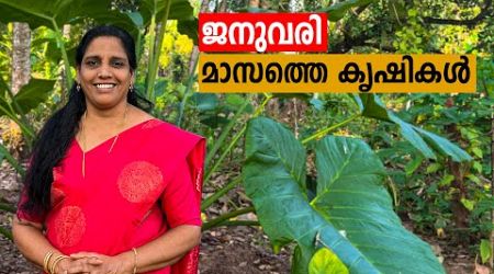 പുതുവത്സര കൃഷി | January krishi | Mini&#39;s Lifestyle