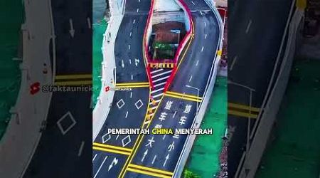 Rumah Ajaib! Bikin Pemerintah Ubah Desain Jembatan?!