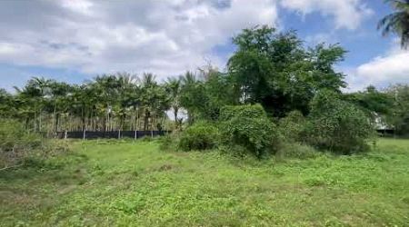 4 Rai Land for Sale Near Natai Beach, Prime Location in Khok Kloi, Phangnga