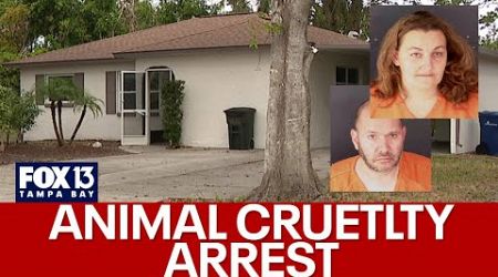 Owners of Sarasota dog training business arrested for animal cruelty