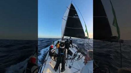 Sydney to Hobart 2024 White Noise