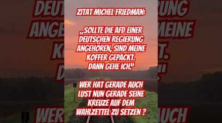 Zitat Michel Friedman #deutschland #germany #politik #politics