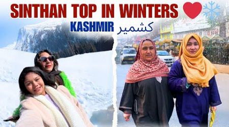 Sinthan Top Kashmir Tour Guide ❤️❄️ Kokernag, Daksum, Achabal || Kashmir Travel Guide Travel with Jo