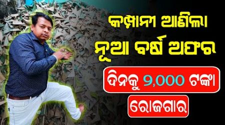 ନୂଆ ବର୍ଷ ବଢିଆ ଅଫର୍ ! ଦିନକୁ ୨,୦୦୦ ରୋଜଗାର କରନ୍ତୁ ! new business idea Odisha ! 2025 new business