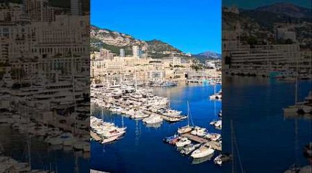 Monaco #shorts #viralvideo #youtube #youtubeshorts #reels #love