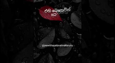 කොල්ලනේ බලාගෙනයි මෙන්නෝ 