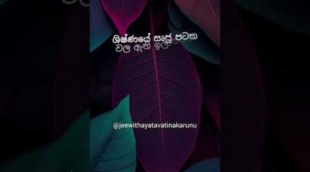 හම්බෝ දන්නවද වෙනදේ