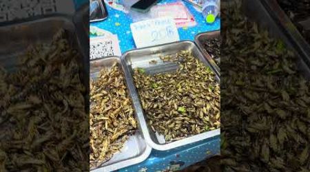 Insects in Phuket street food Thailand