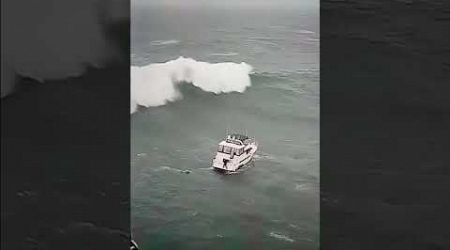 Yacht gets wrecked by a Massive Wave 