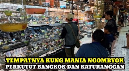 CEK HARGA BURUNG PERKUTUT BANGKOK DAN KATURANGGAN DIPASAR BURUNG PRAMUKA KIOS HAJI ABU HARI INI