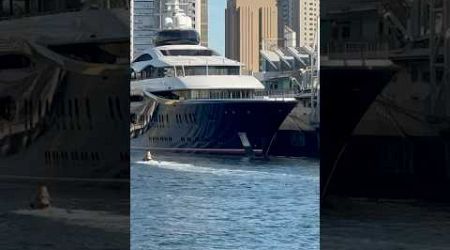 Guess who owns this mega yacht docked in San Diego Harbor? #luxury #billionaire #shortvideo #shorts