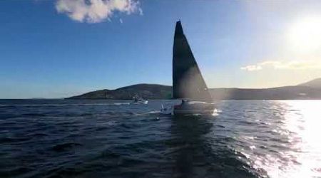 Rolex Sydney Hobart 2024 - Live for the finish of Mistral