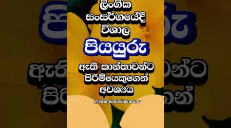 ඇත්තටම ඔයා මේක දන්නැතුව ඇති 